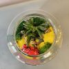Флорариум Гонки по дюнам Доступно на Вильямса 30б