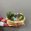 Флорариум Тихое место Доступно на Щекинском шоссе 1а