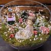 Флорариум Страна грезДоступен на Щекинском шоссе 1а
