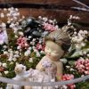 Флорариум Страна грезДоступен на Щекинском шоссе 1а
