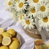 Корзина с ромашками Полевой роман
